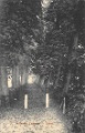 Het Slot en omgeving0015, Hofsche laantje 1916
